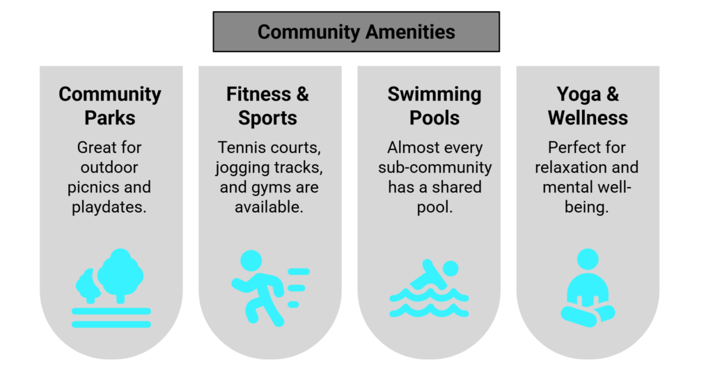 The springs activities